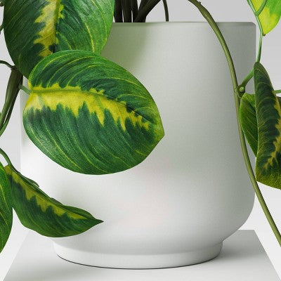 Trailing Prayer Artificial Plant - Room Essentials™
